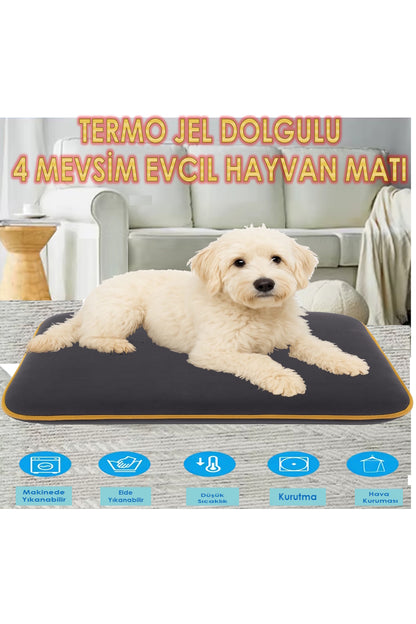 Sevimli-Sıcak Soğuk matı4 Mevsim