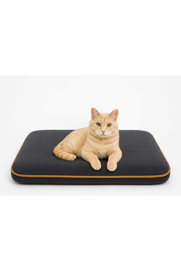 Sevimli-Sıcak Soğuk matı4 Mevsim