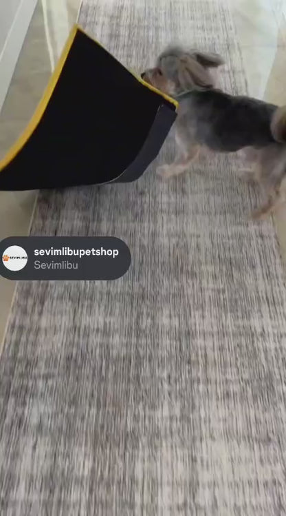 Sevimli-Sıcak Soğuk matı4 Mevsim