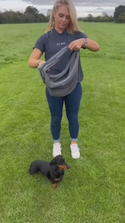 Sevimli-TaşımaÇantası